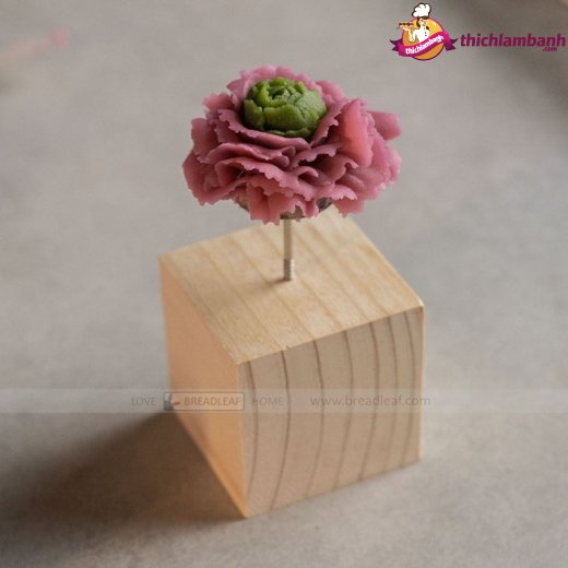 Cục Gỗ Cắm Dù Bắt Bông Kem