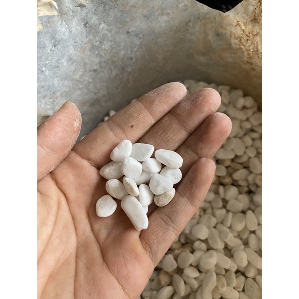 Đá nhỏ trang trí chậu cây, bể cá cảnh, sân vườn đóng gói 1kg