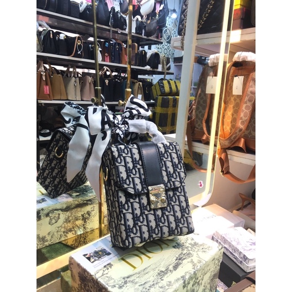 Túi xách nữ Dior ophidia