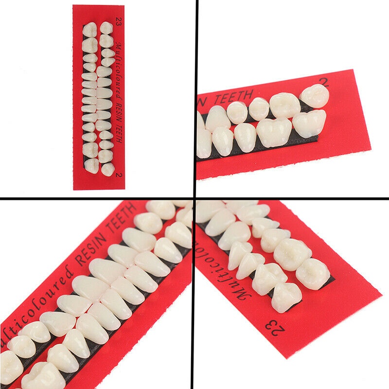 Bộ 28 Chiếc Răng Nhựa acrylic 23 a2 Chất Lượng Cao