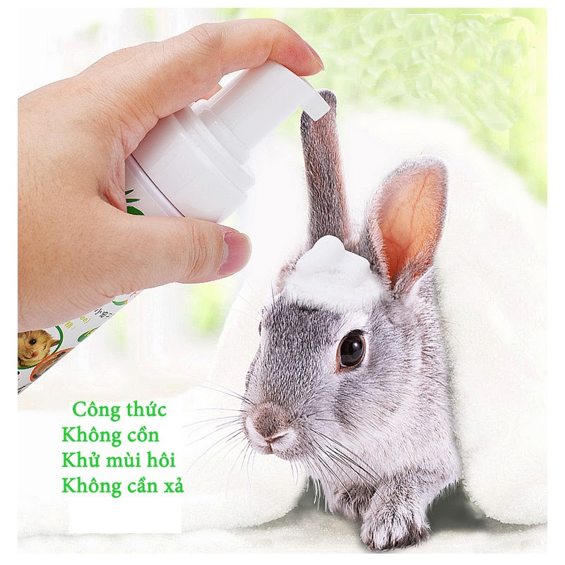 Sữa tắm khô cho hamster làm sạch giặt khô cho chuột lang,thỏ ,bọ ú KELLY -100ml