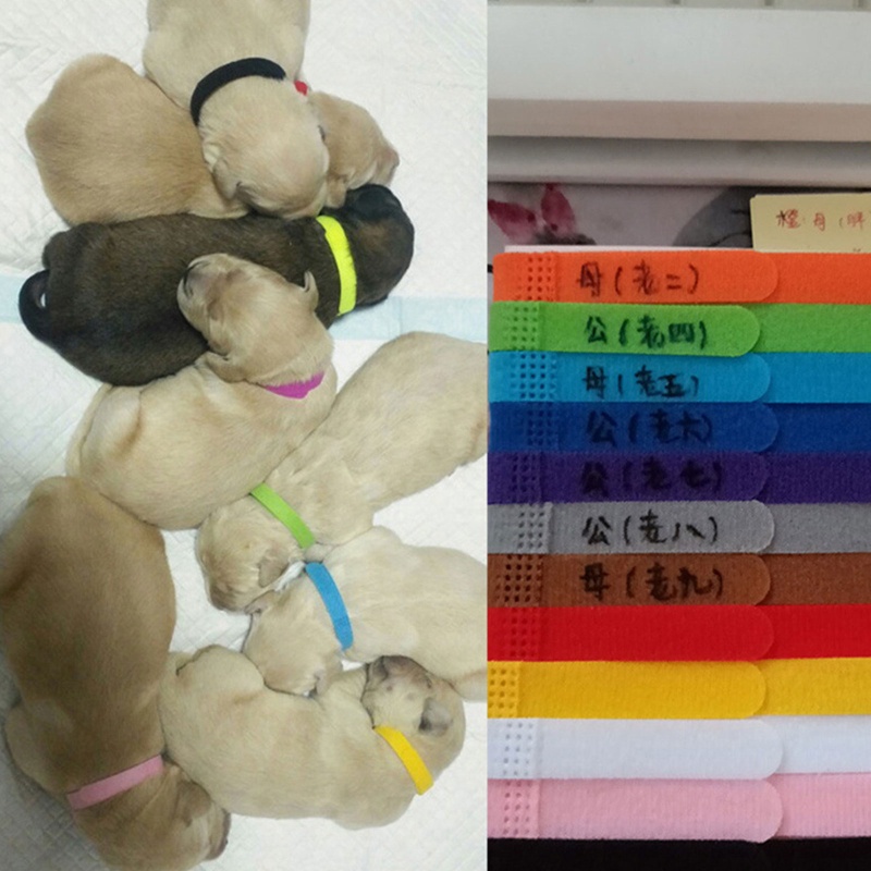 Vòng Cổ 15 Màu Cho Thú Cưng