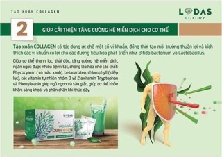 Tảo xoắn collgen