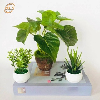 Chậu cây cảnh giả trang trí bàn làm việc tùy chọn kiểu dáng
