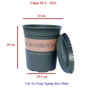 Chậu nhựa Monrovia TQ số 3 kèm đĩa lót đáy