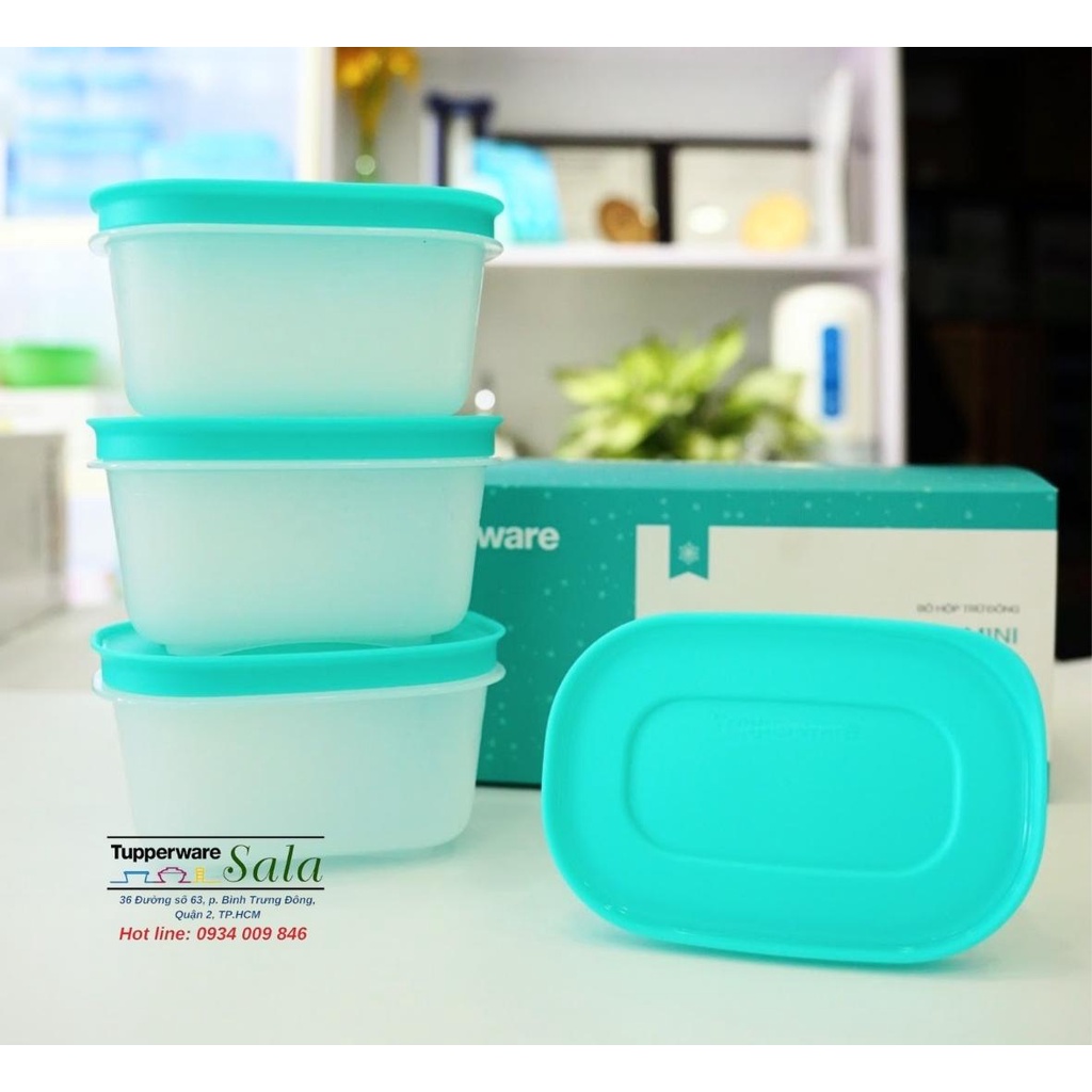 HỘP TRỮ ĐÔNG MINI CHẤT LIỆU NHỰA DẺO 170ML NẮP XANH THÂN TRẮNG BỘ 6 HỘP (CÓ BÁN LẺ)