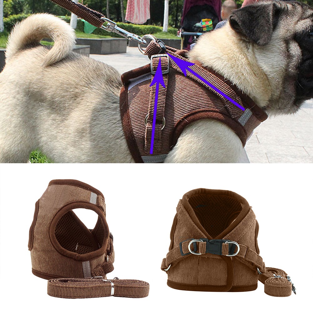 Dây Yên Cương Dùng Cho Thú Cưng