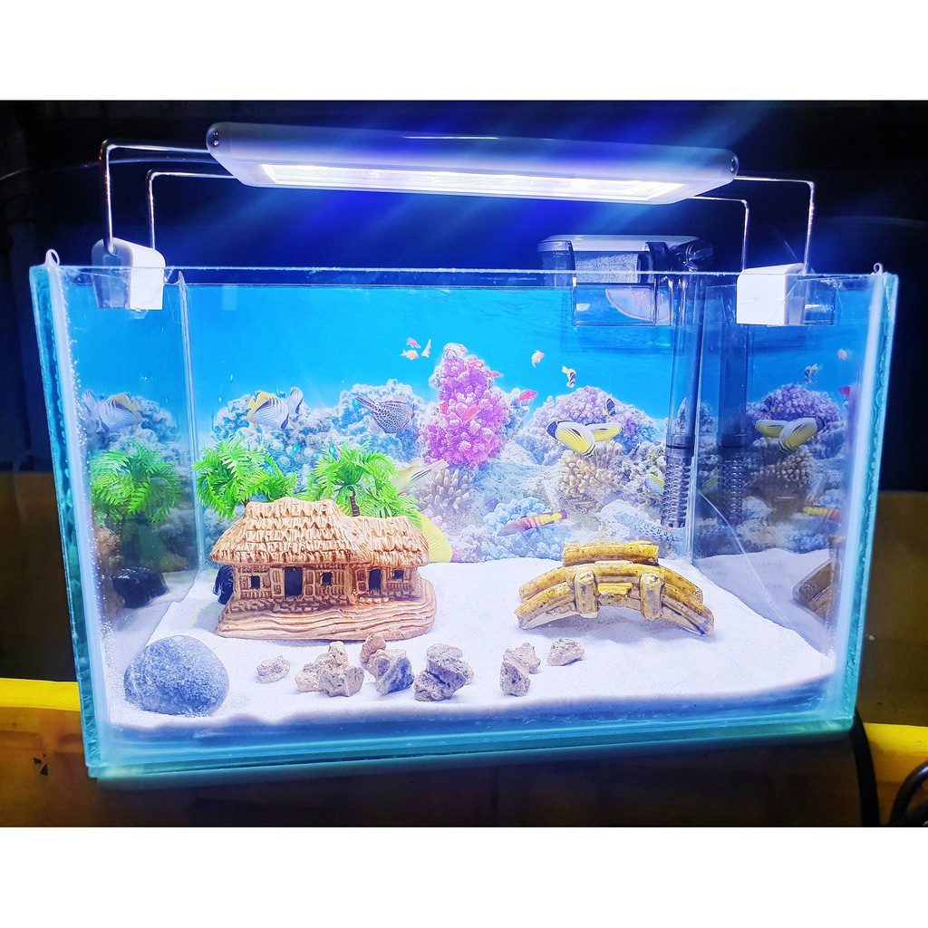 COMBO HỒ CÁ TRANG TRÍ SẴN 24X15X15CM 390KClick để phóng to  Bonsai Cá cảnh Nhật ToànChăm sóc thú cưngChăm sóc cá &amp; bể th