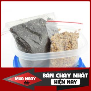 Bộ kit trồng cỏ cho thú cưng , siêu nảy mầm