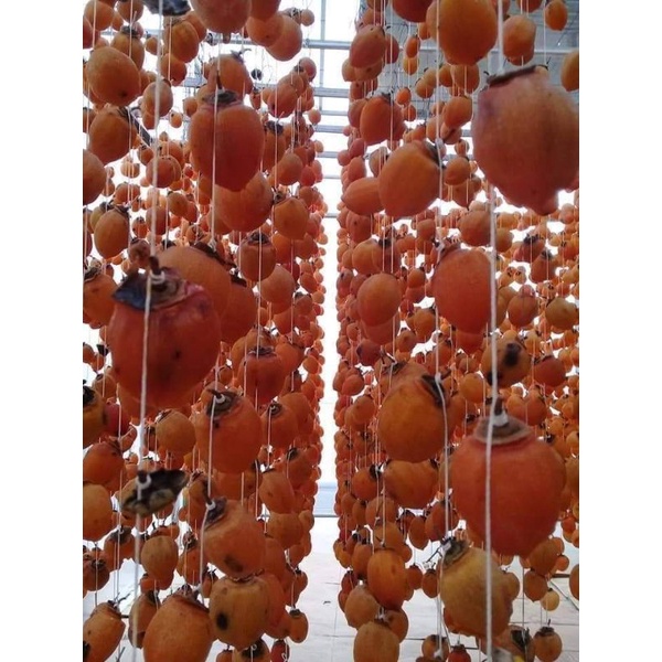 Hồng treo gió ship toàn quốc