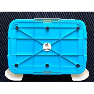 Khay vệ sinh chó tường bao quanh Pulito - Cho CÚN CÁI, mọi dòng poodle, pom, corgi v.v | BossDog