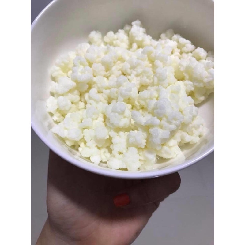 Nấm kefir - men sữa chua ( cam kết thành công )