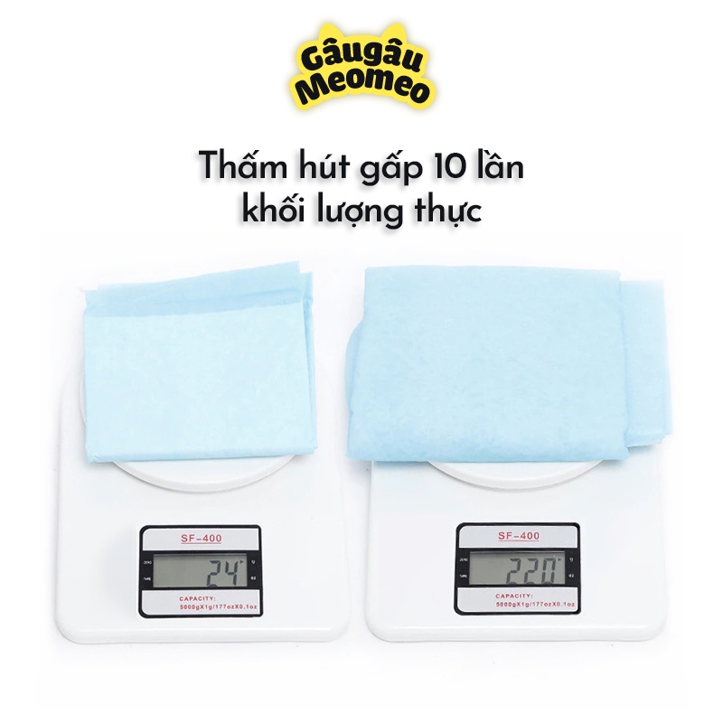 Combo 5 miếng Tã lót chó mèo