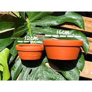 CHẬU ĐẤT NUNG 12/16CM TRỒNG SEN ĐÁ XƯƠNG RỒNG CÂY KIỂNG