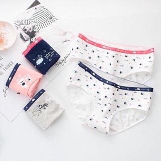 Set 5 quần lót cotton nữ cute cao cấp có túi zip