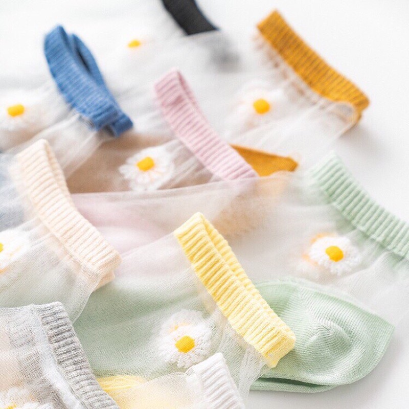 10 đôi tất ren cúc lưới