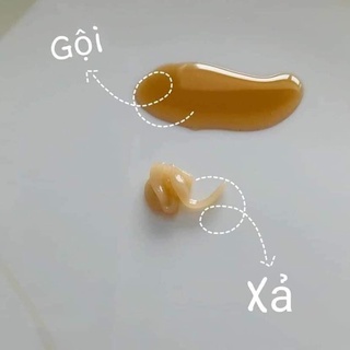 Set dầu gội và xả thảo dược WHOO