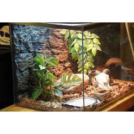 Đèn sưởi sứ cho bò sát ReptiCare Ceramic Infrared Heat Emitte