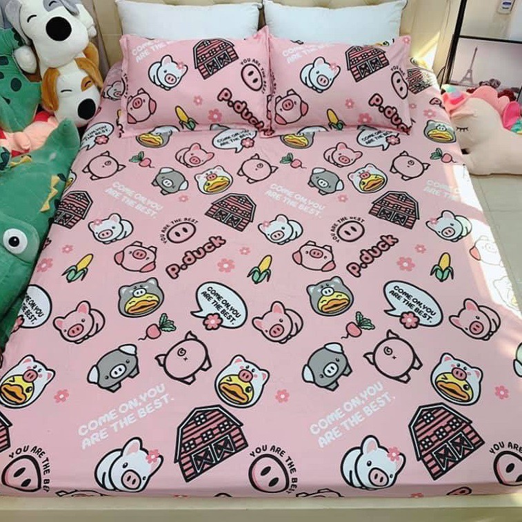 Vỏ chăn ga gối m6 m8 chất cotton poly nhiều mẫu