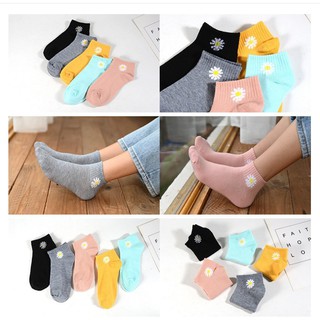 Combo 10 đôi tất Hoa cúc rất xinh