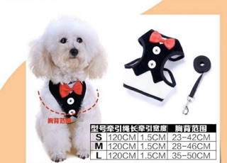 Yếm dắt Quý tộc