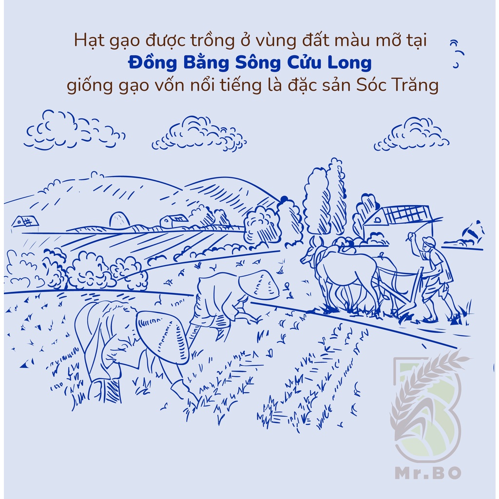 Gạo ST Lúa Tôm Mr.Bo Túi 5kg Cơm Thơm mềm Dẻo