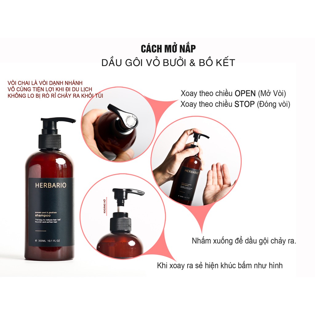 Dầu gội vỏ bưởi & bồ kết 300ml phục hồi tóc, giảm rụng tóc