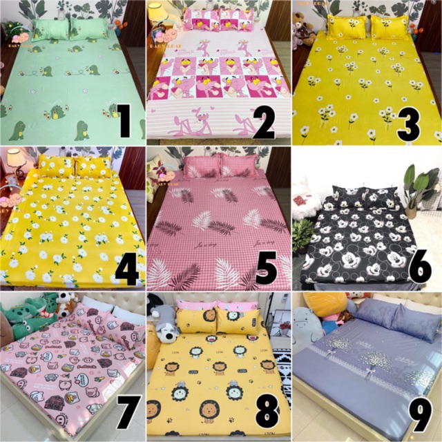 Bộ Ga Chun và Vỏ Gối Cotton Poly