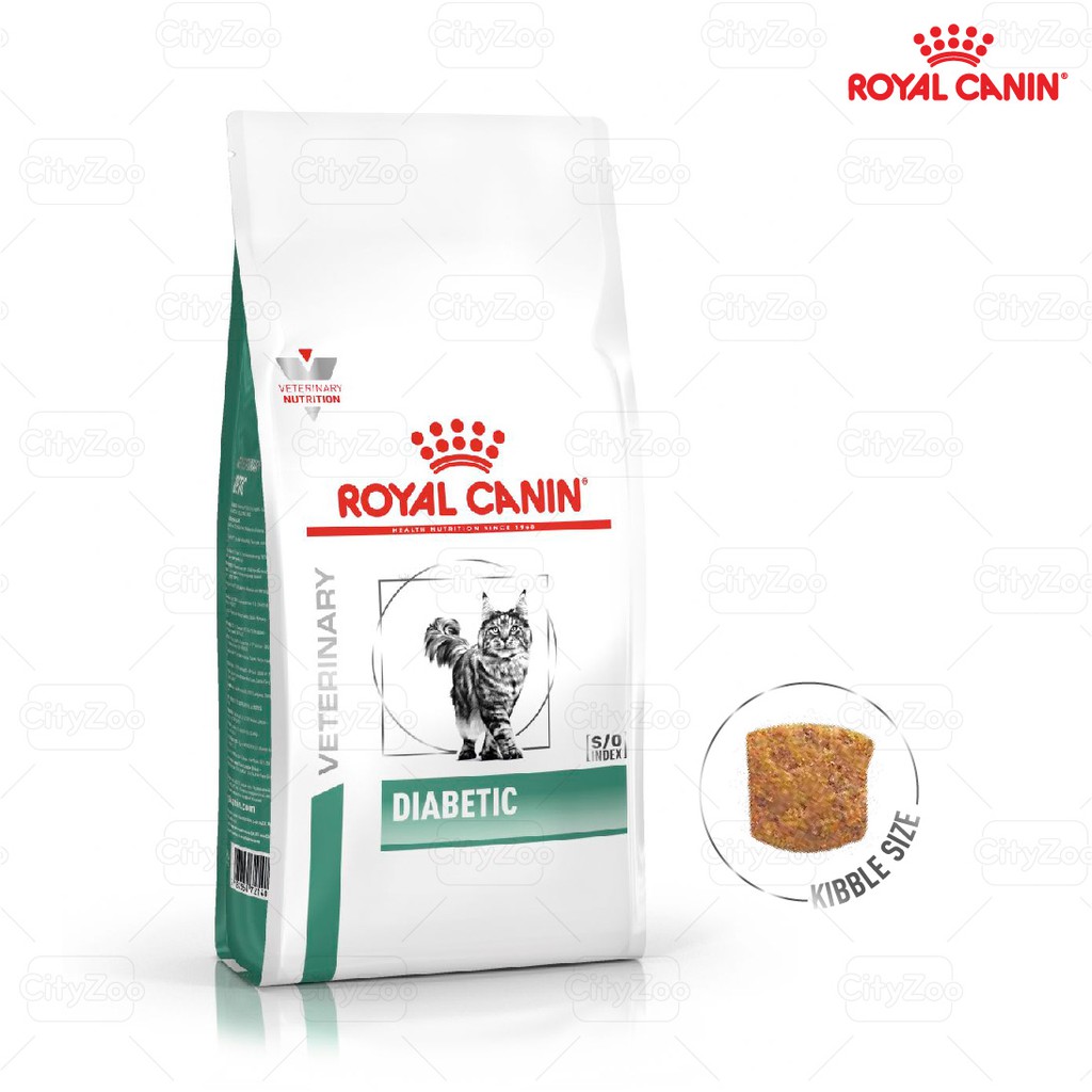 ROYAL CANIN DIABETIC CAT -THỨC ĂN HẠT KIỂM SOÁT DINH DƯỠNG CHO MÈO BỊ TIỂU ĐƯỜNG