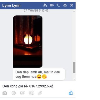 ĐÈN XÔNG TINH DẦU GỖ ĐÈN LỒNG-DX10