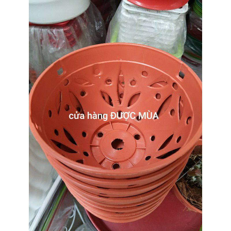 combo 5 chậu nhựa trồng lan kiểu giả đất phi 18.