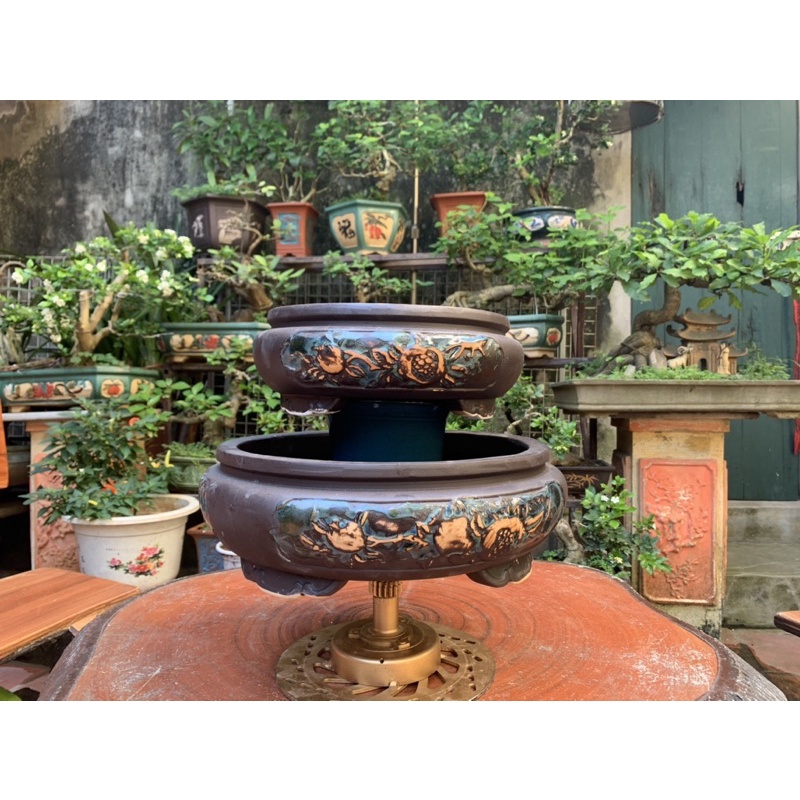 Ang tròn trồng cây bonsai = 389K