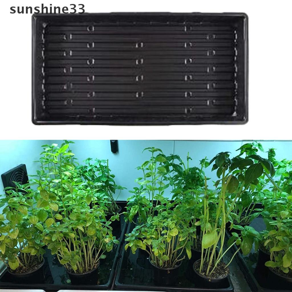 Khay Nhựa Trồng Cây Mầm Tiện Dụng