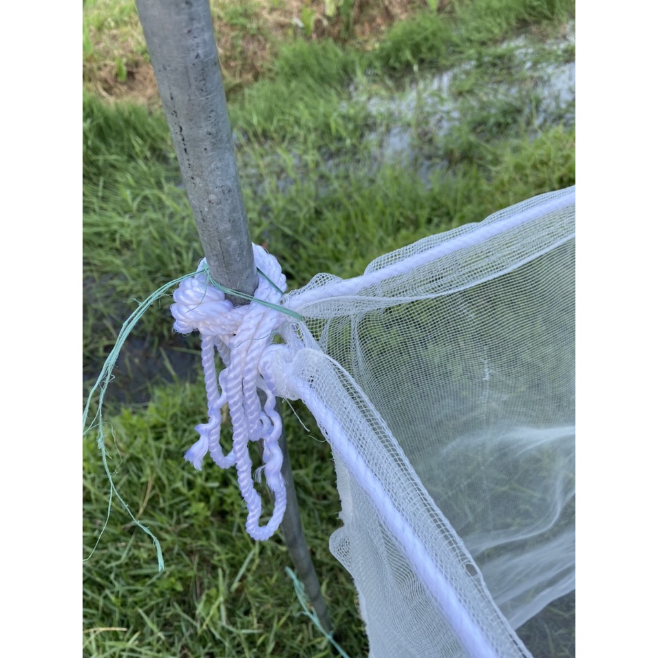 Tráng nuôi ốc nhồi , ốc bươu chuyên nghiệp có 19 kích thước lựa chọn