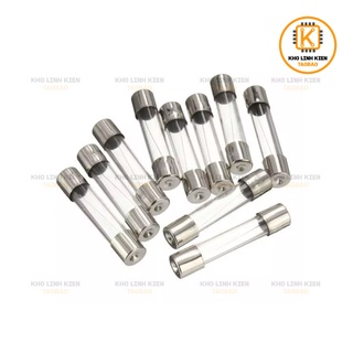 Bộ 10 cầu chì ống 5x20MM 250Vđủ loại( Cầu chì thủy tinh)