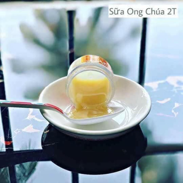 Sữa ong chúa 2T