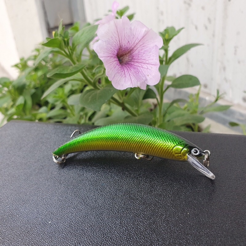 cá thân cong 9g dài 9.5cm