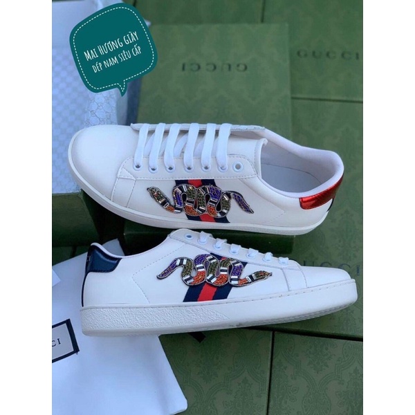 Gucci rắn đá quảng châu . giày Gc rắn nam buộc dây Full đồ