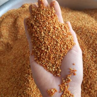 Phấn hoa cỏ kim ( 0.5 kg ) Phấn cỏ Sơn La