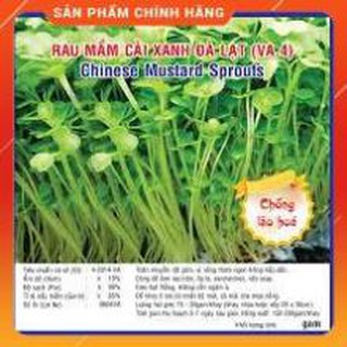 HẠT GIỐNG RAU MẦM CẢI XANH ĐÀ LẠT GÓI 50 GRAM.