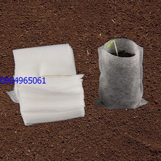 200 chiếc bầu ươm cây tự tiêu