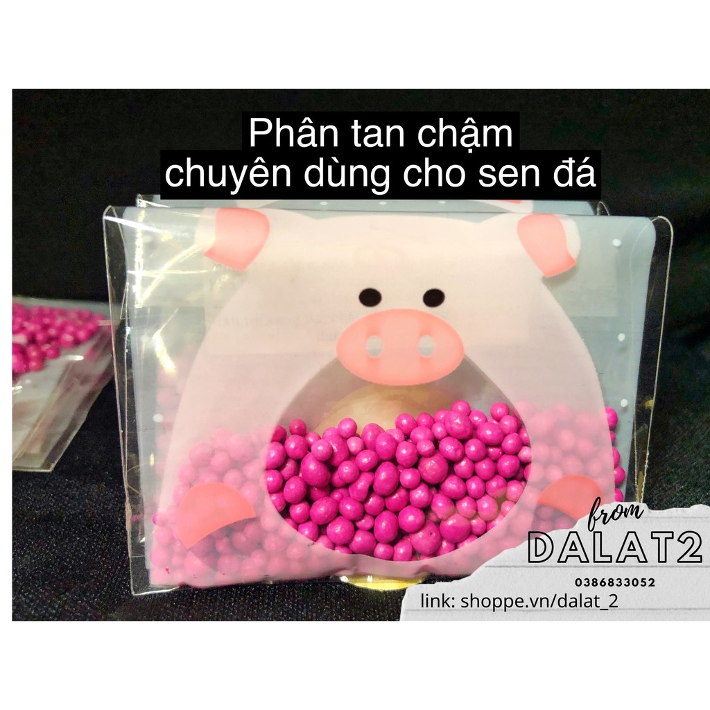 [Mã ICBBACK1219 hoàn 20K xu đơn 0Đ] Phân tan chậm, chuyên dùng cho sen đá, xương rồng, cây cảnh
