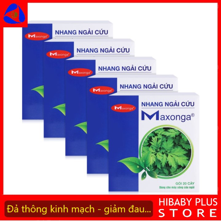 Bộ 5 hộp nhang Maxonga dùng cho máy cứu ngải