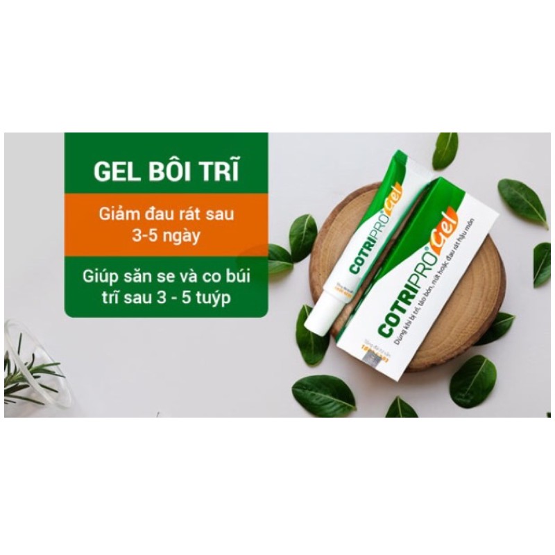 COTRIPRO gel 10g kem bôi trĩ | BigBuy360 - bigbuy360.vn