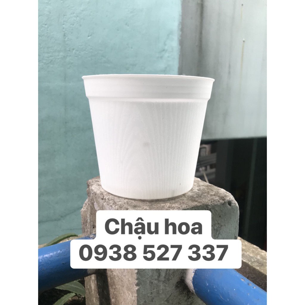 combo 5 chậu hoa nhựa cứng vân gỗ đường kính 15cm cao 12,5cm giá rẻ