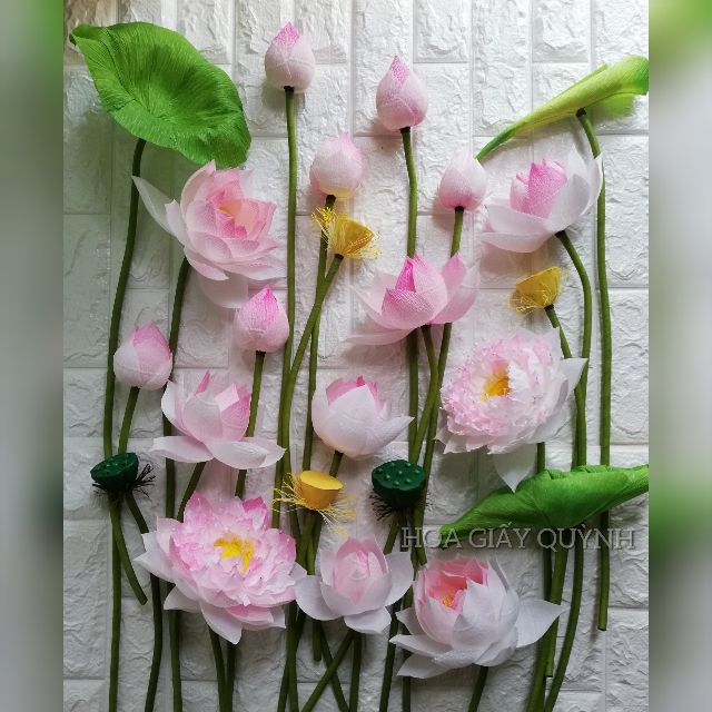 GIẤY NHÚN Ý LOANG MÀU | BigBuy360 - bigbuy360.vn