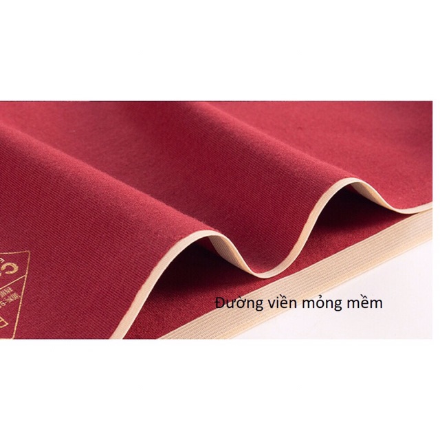 Quần lót nữ cotton ép cao cấp 8875 | BigBuy360 - bigbuy360.vn