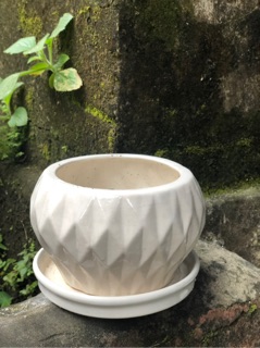 [ Gốm sứ] Đĩa kê chậu, đĩa lót chậu