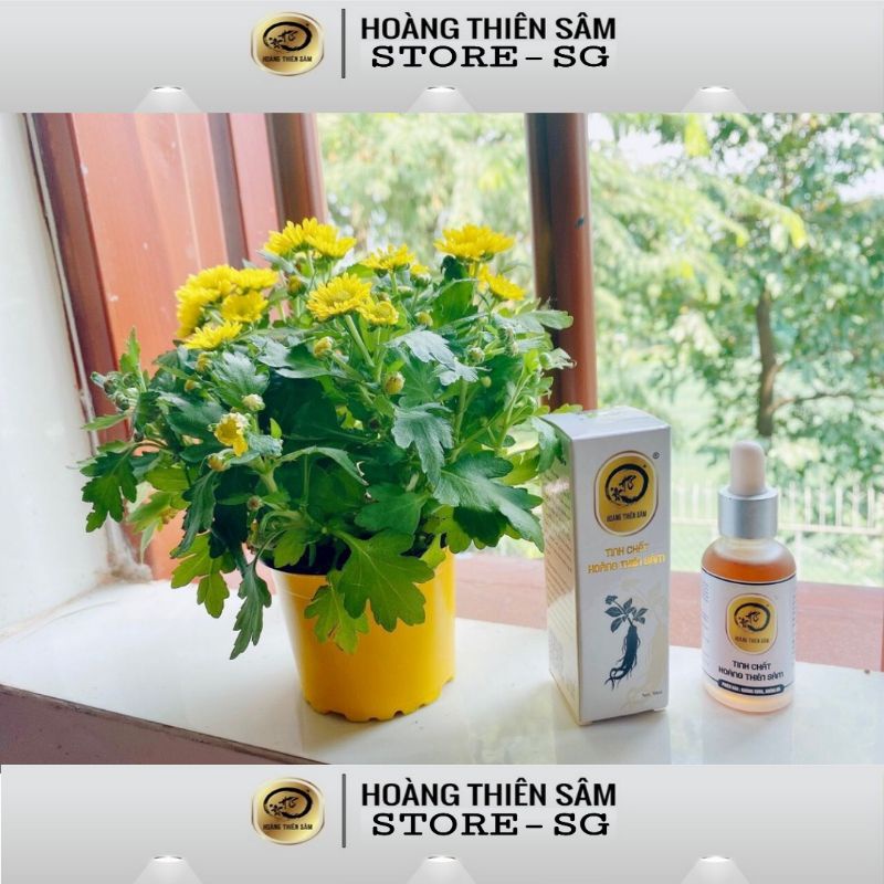 HOÀNG THIÊN SÂM VIP KHÔNG SƯNG KHÔNG ĐỎ DA 30ML