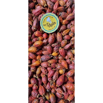 Quả dành dành tạo màu vàng tự nhiên làm bánh nấu xôi